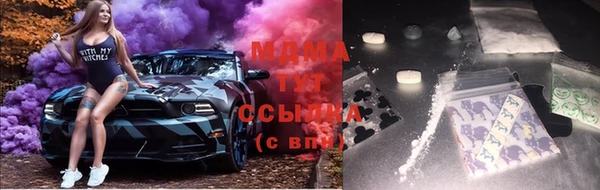 прущие грибы Арсеньев