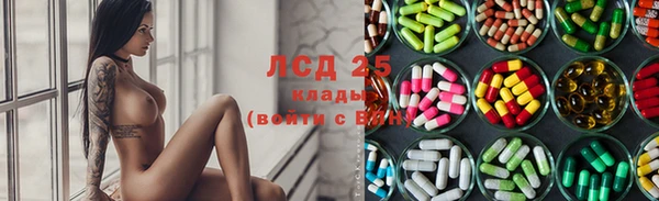 шишки Аркадак
