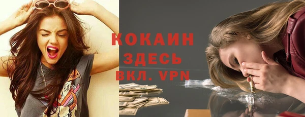 шишки Аркадак