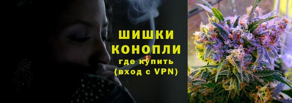 прущие грибы Нязепетровск