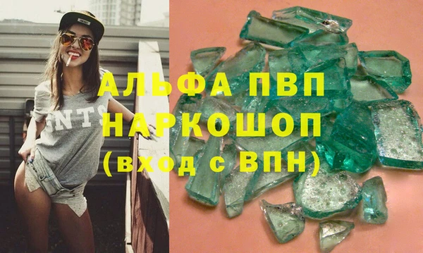прущие грибы Арсеньев