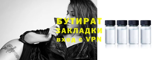 шишки Аркадак