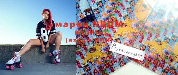 шишки Аркадак