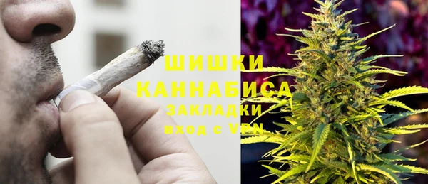 прущие грибы Арсеньев
