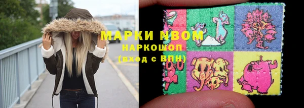 шишки Аркадак