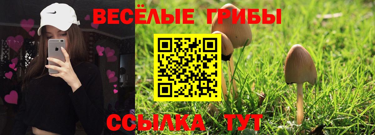 Галлюциногенные грибы Cubensis Новомосковск