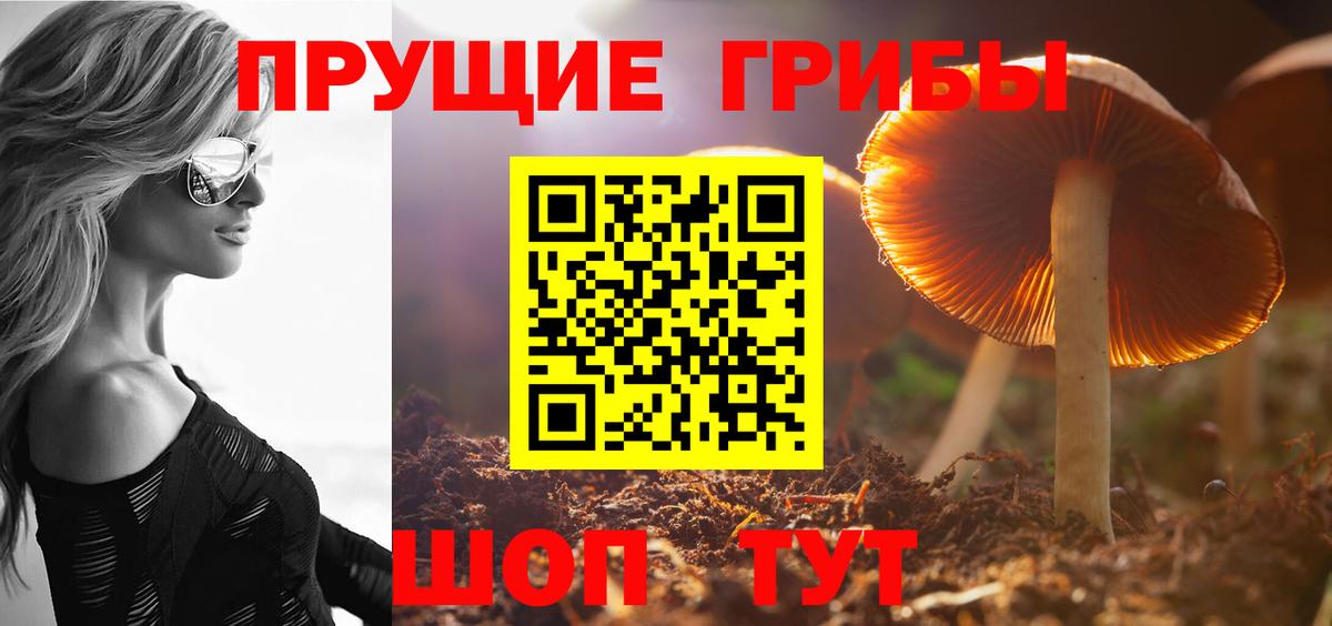 Новомосковск  Псилоцибиновые грибы Magic Shrooms  Галлюциногенные грибы GOLDEN TEACHER  Вход с VPN 