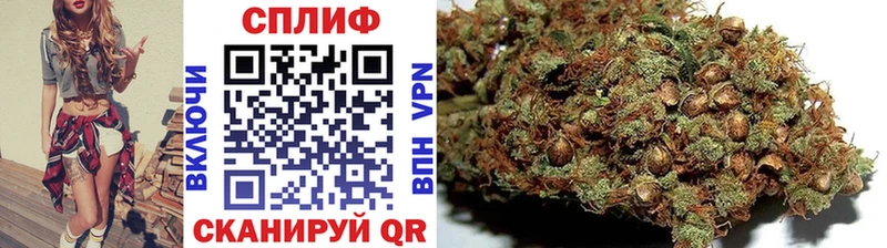 Бошки Шишки сатива  закладка  Новомосковск 